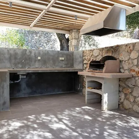 Olive Grove 别墅 Agia Efimia